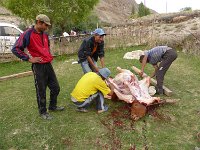 P1030162  Kuhschlachtung