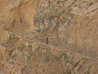 P1030165  ... mit Balken auf der Schulter über Tage über Stock und Stein