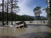 02-083-im-hochwasser-IMG 6911  Hochwasser am Katun: Häuschen und ganze Bäume werden einfach weggespühlt