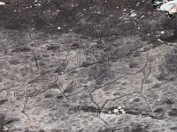 04-036-IMG 7225  ... 3 - 30 tausend jahre alte Steinzeichnungen sind zu finden
