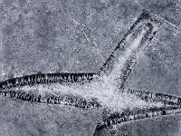 MG 5201  Die Oberfläche ist komplett glatt.