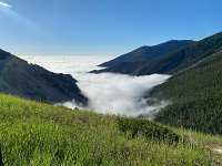 Auf dem Weg - Big Horn Forest - Medicine Wheel - Beartoothpass