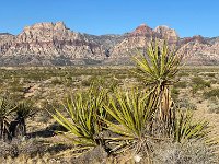 2025 USA Roadtrip durch viele National Parks